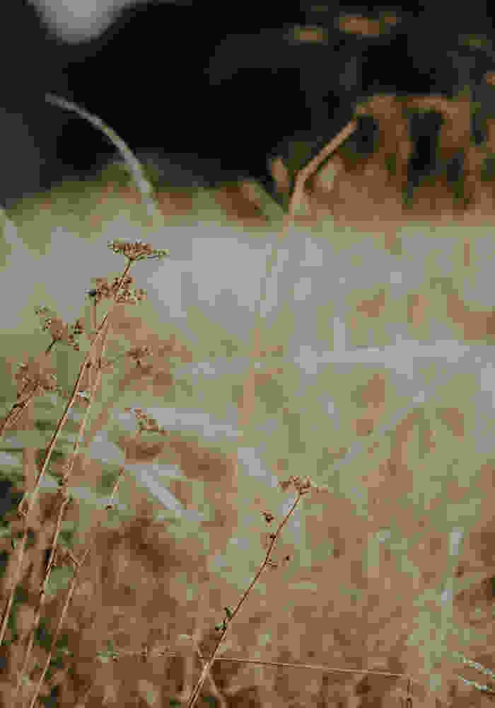 annie-spratt-PmErRDhiJF4-unsplash