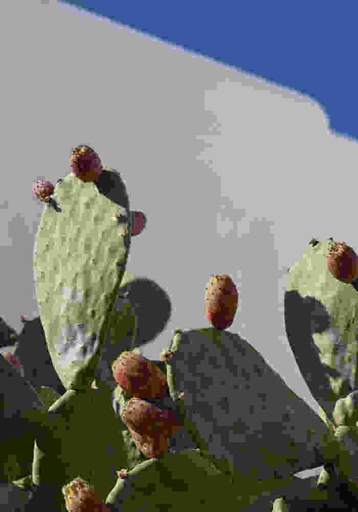 john-cameron-DX_WW_J9Yh8-unsplash